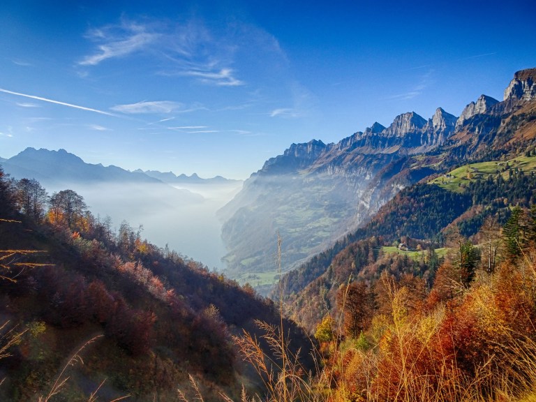 CME_20161030_161257-004